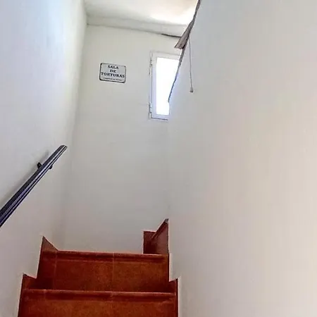 Puente * Sedella