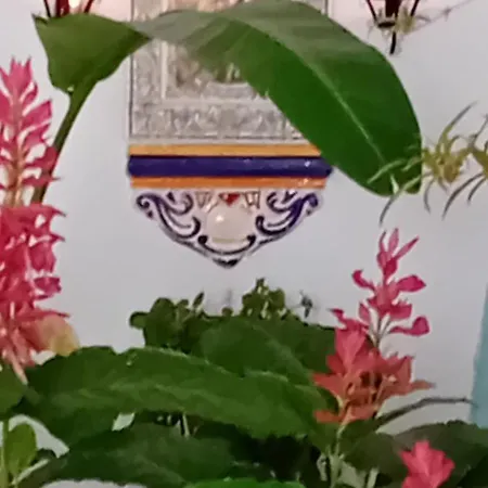 Puente Casa de Campo Sedella